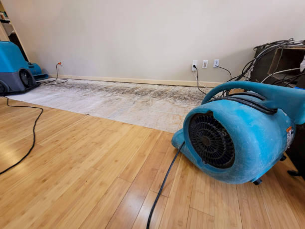 Professional Water Damage Repair technician working in Riverton, WY